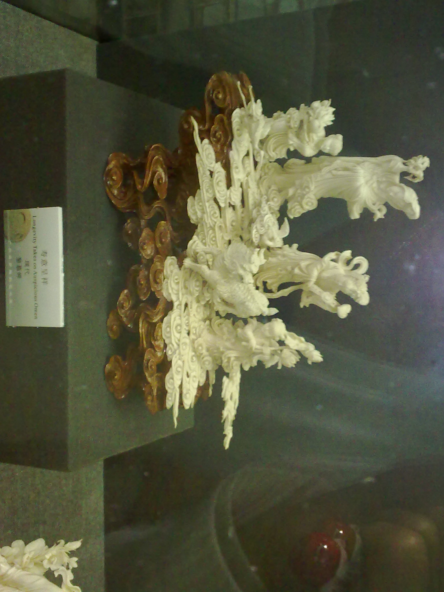 20110224243.jpg