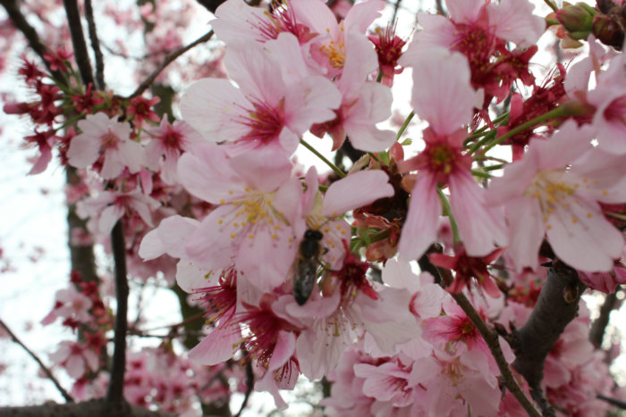 2012_02210250_副本_副本.JPG