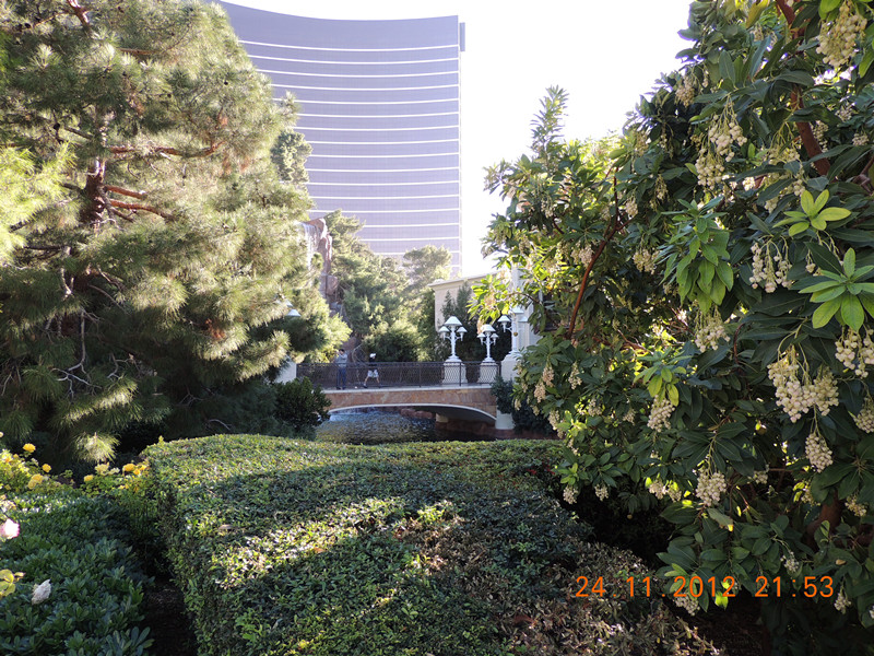 2012thanksgiving-las vegas 279_.jpg