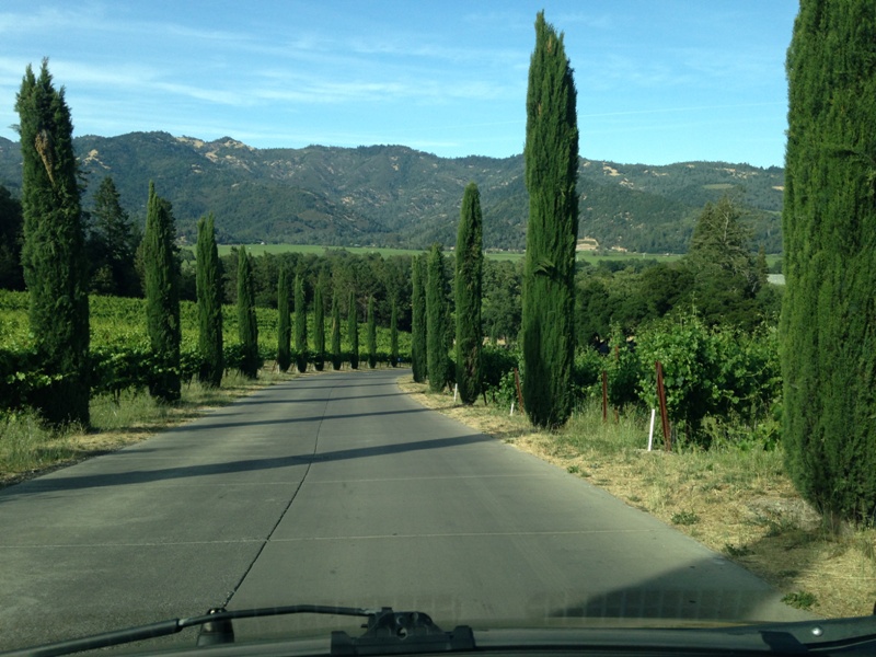 2013origobdayiphone 065.JPG