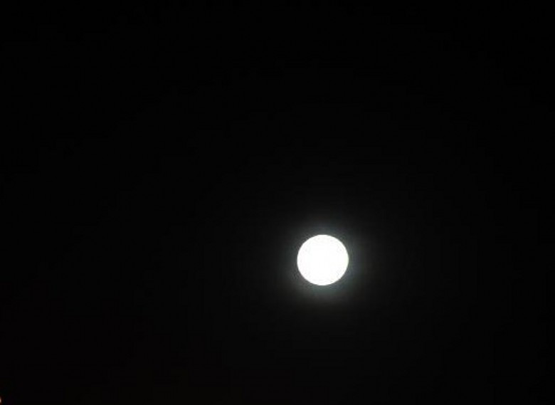 001_conew223.jpg