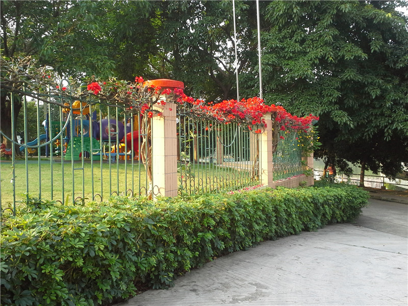 20130414_171434.jpg