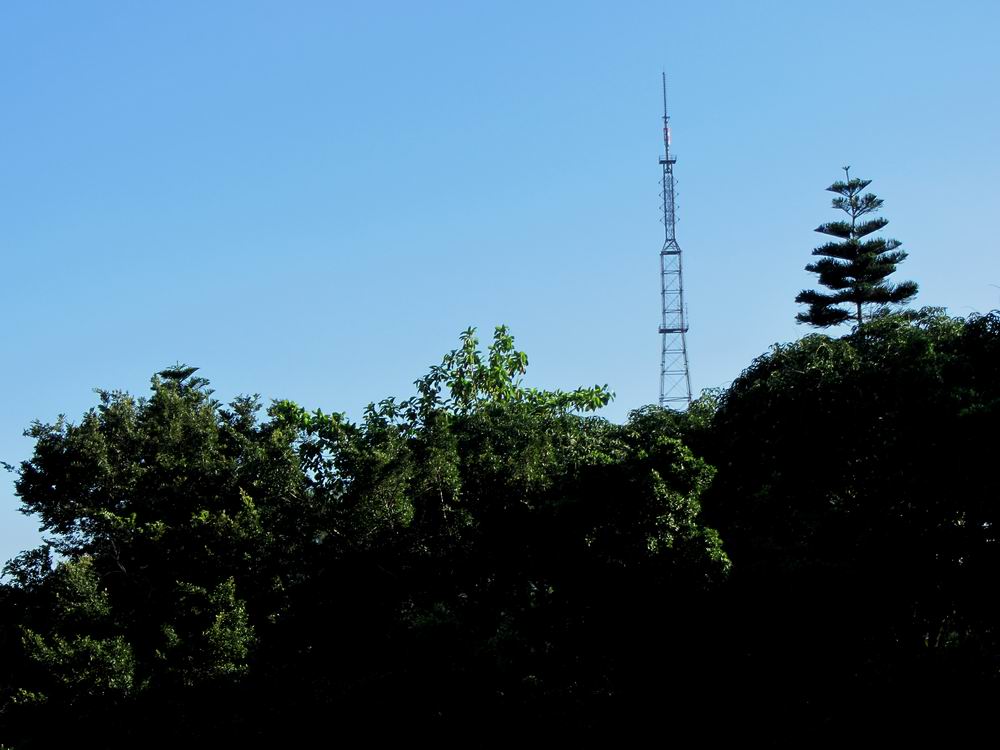 IMG_5723.JPG
