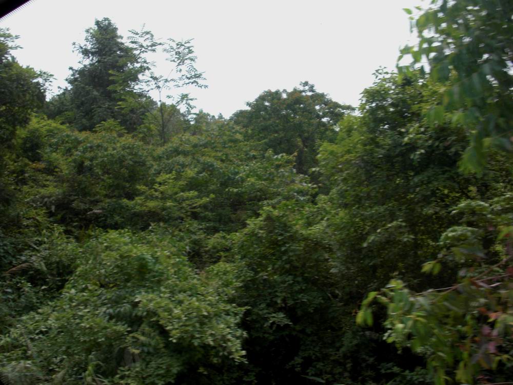 CIMG0203.JPG