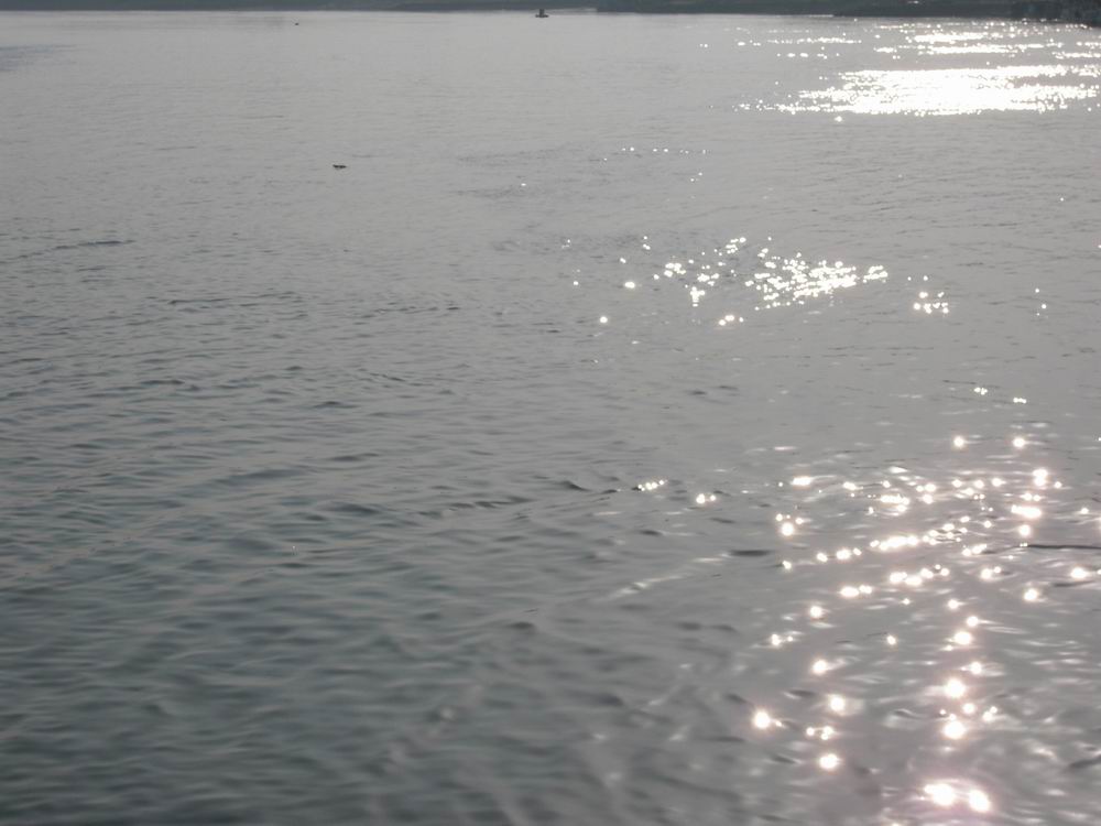 CIMG0090.JPG
