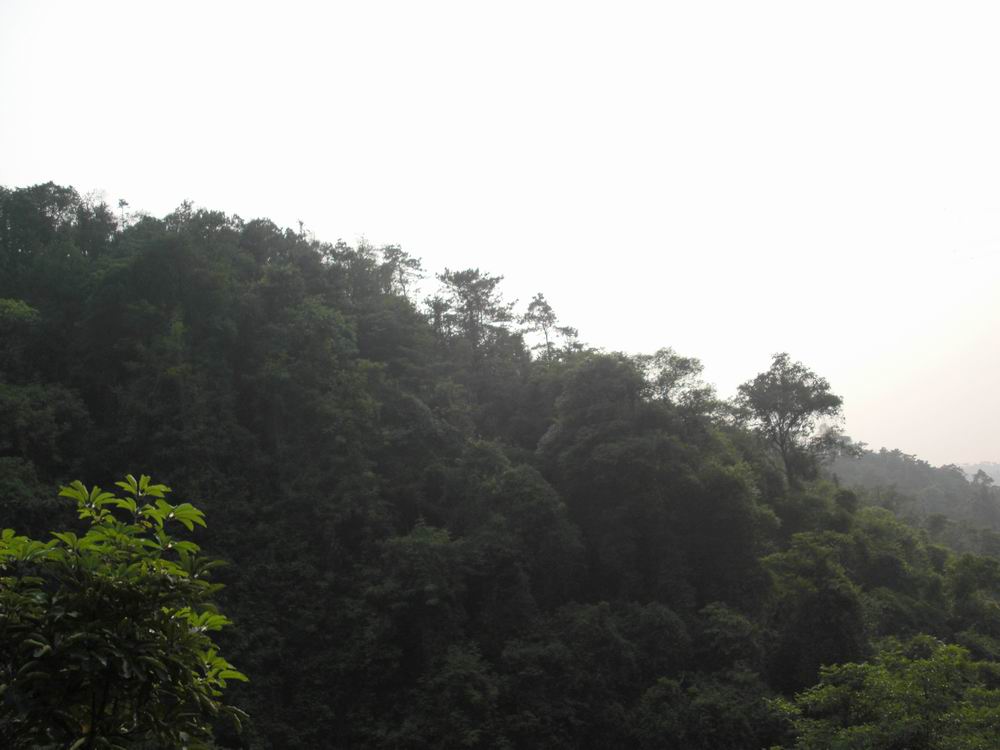 CIMG0296.JPG