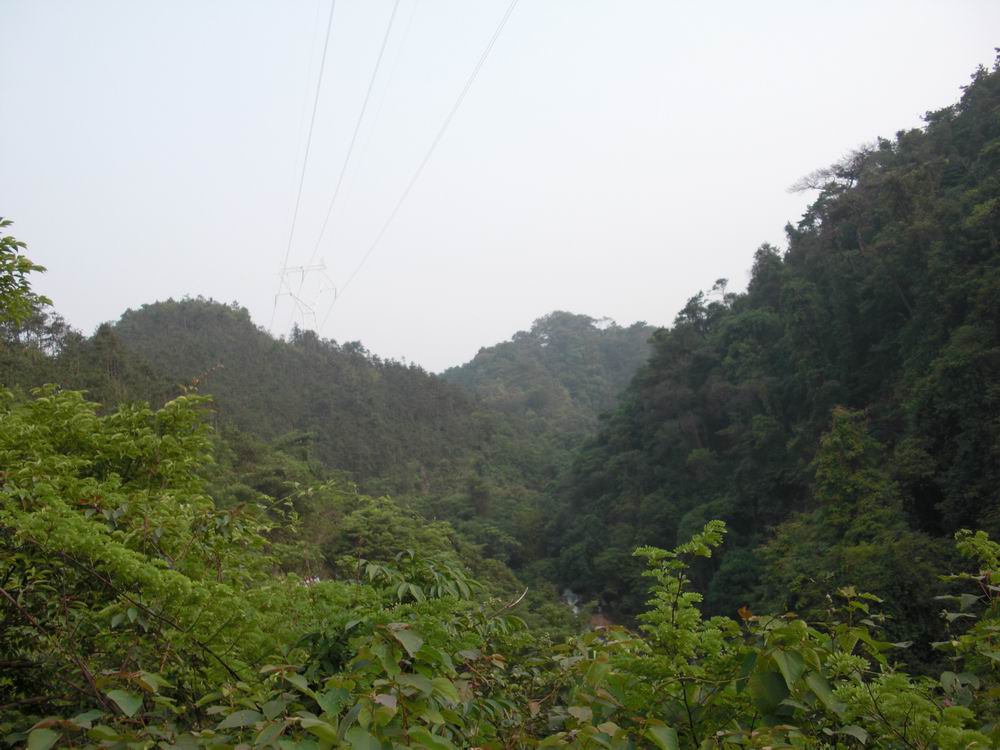 CIMG0299.JPG