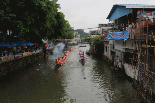 IMG_2303_conew1.gif