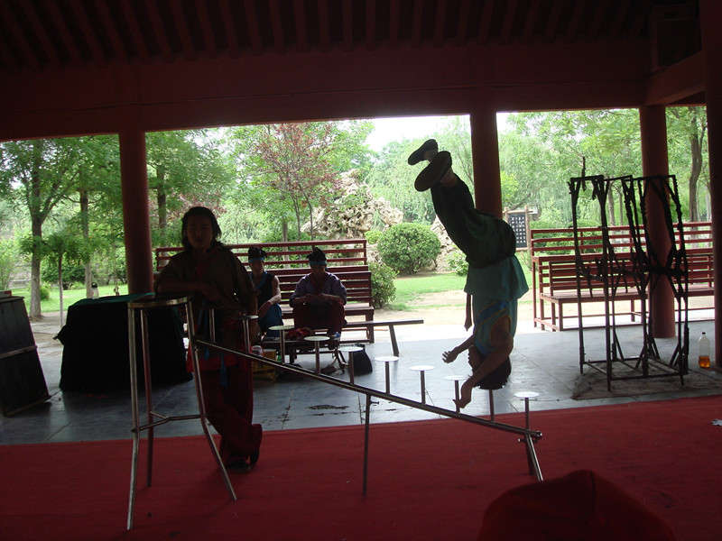 DSC01895_.jpg