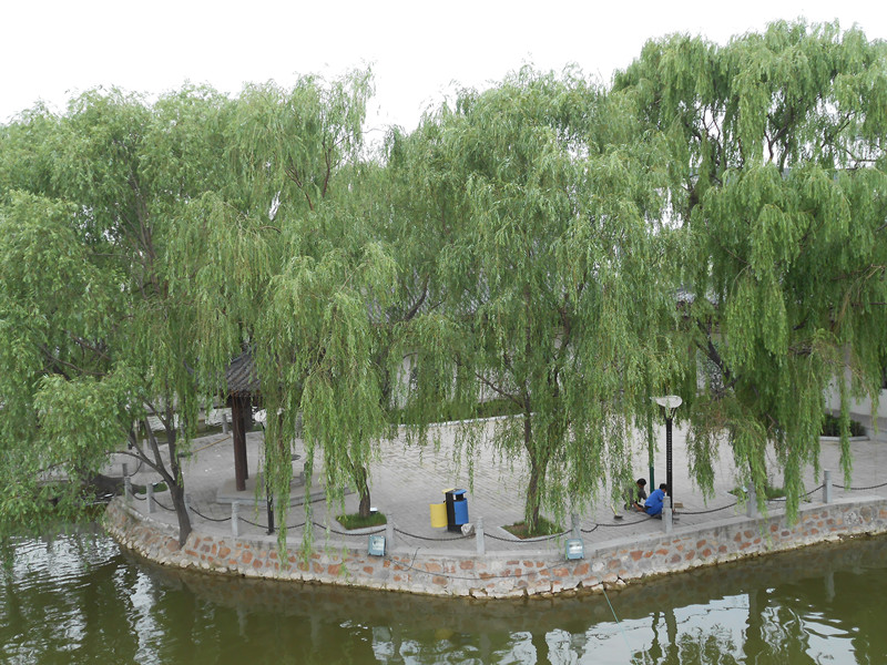 DSCN0776_.jpg