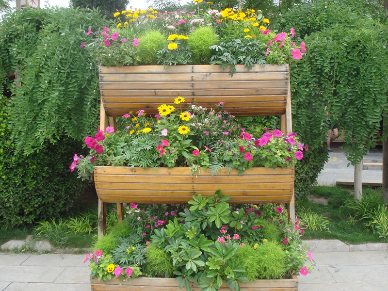  DSC01971_.jpg
