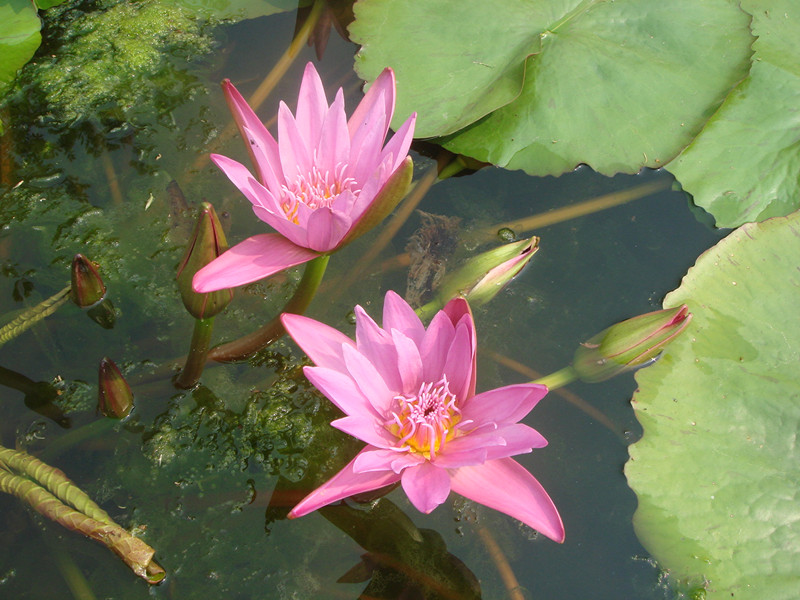 DSC01334_.jpg