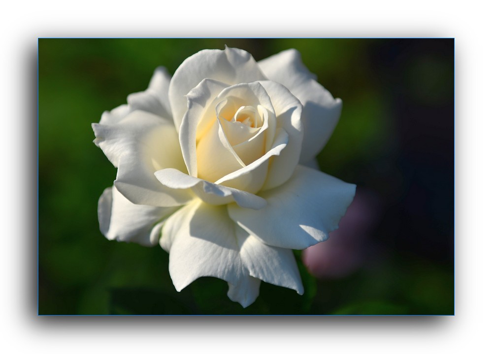DSC_4671.jpg