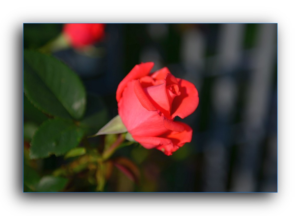 DSC_4686.jpg
