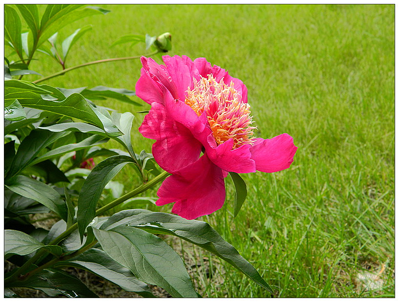 DSCN2088.JPG