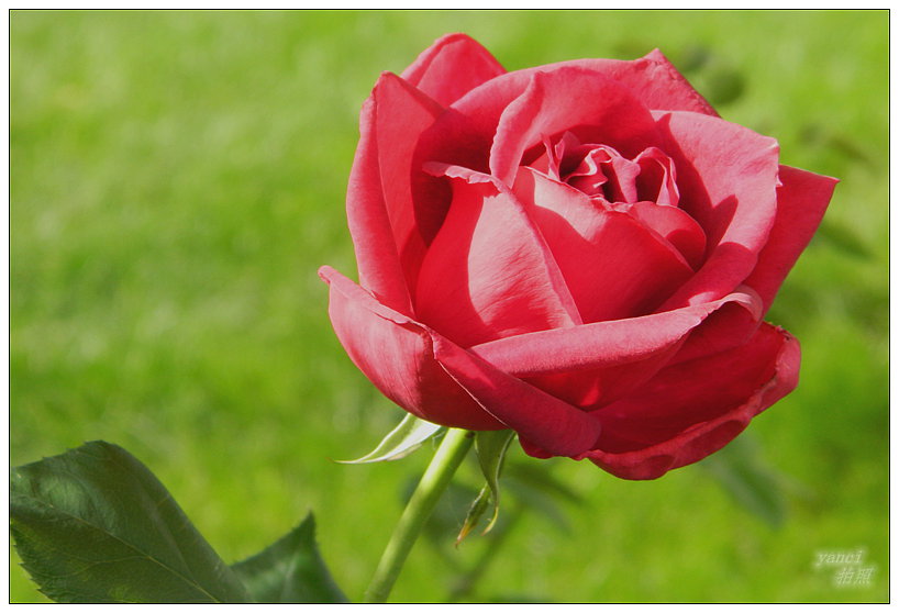DSCN2067_.jpg