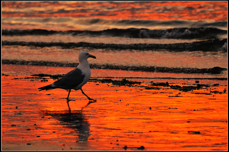 DSC_5464.JPG