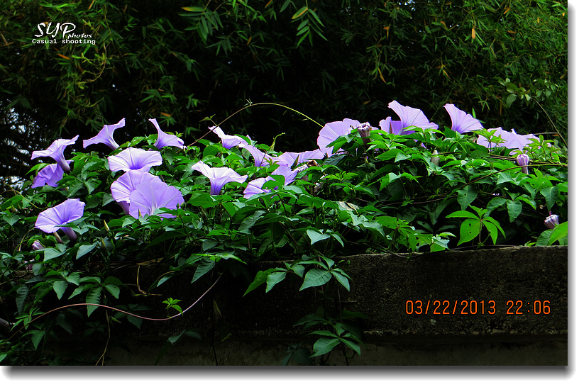 IMG_0679a.jpg