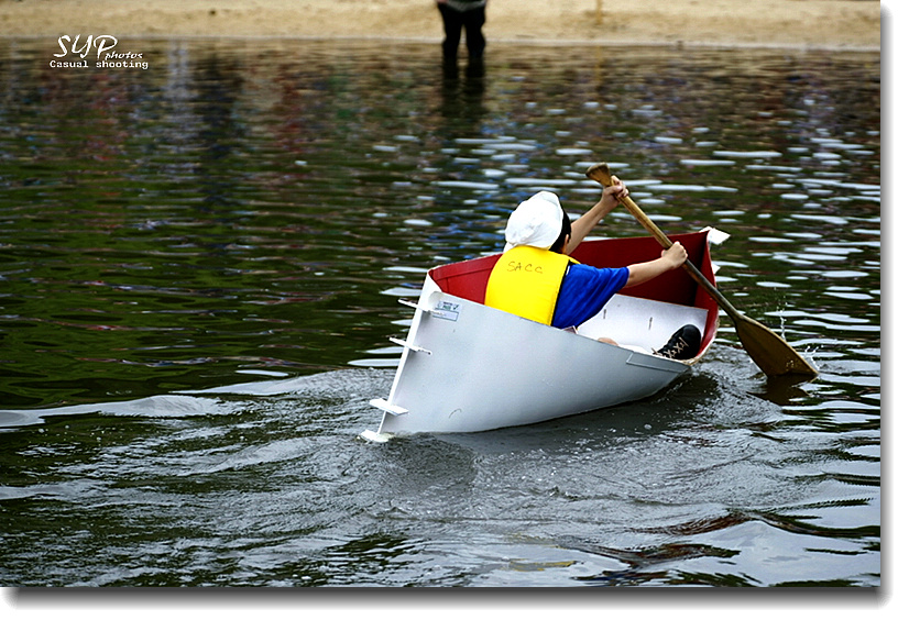 _DSC3381a.jpg