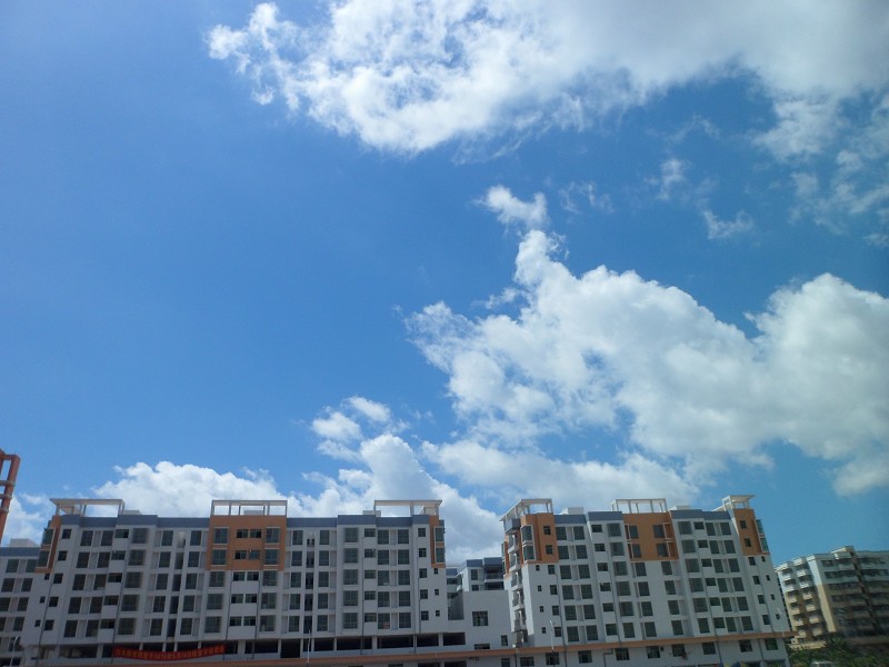 55.jpg