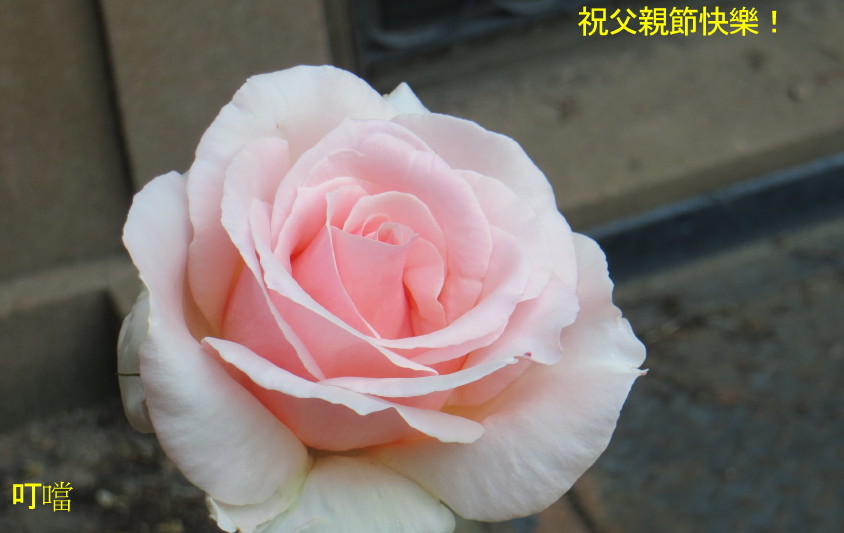 IMG_0001_3673.jpg