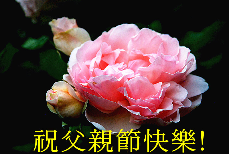 DSC_0705_����.jpg