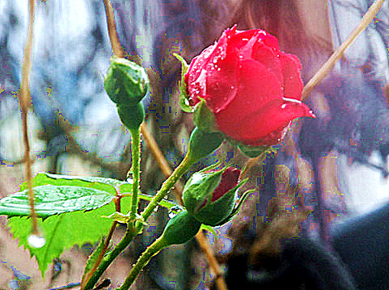 DSC_0029_����.jpg