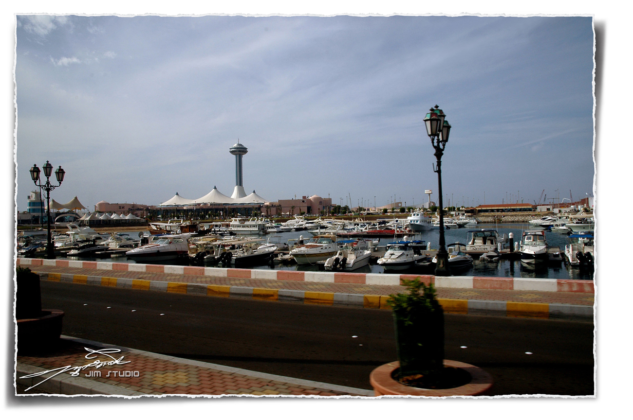DSC_3127.jpg