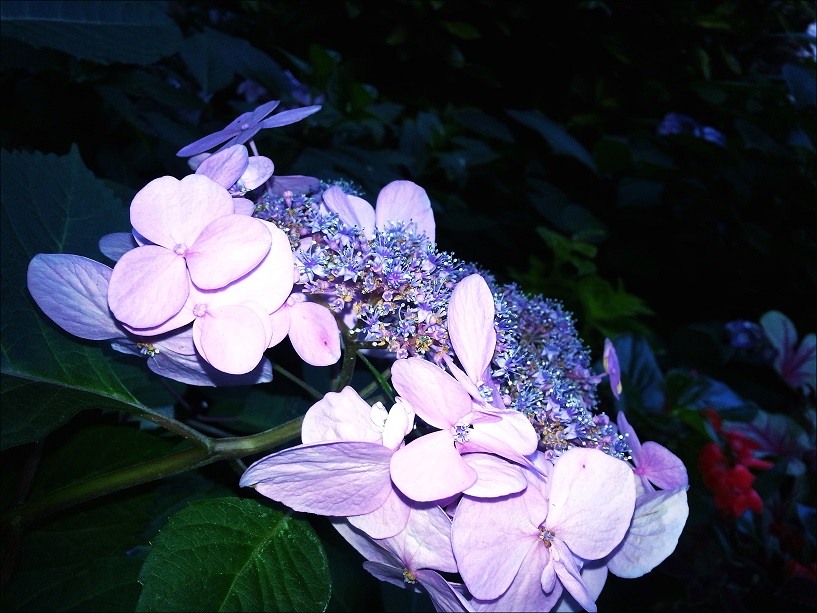 20130629_185516_conew2.jpg