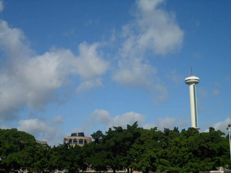 SAM_4458.jpg