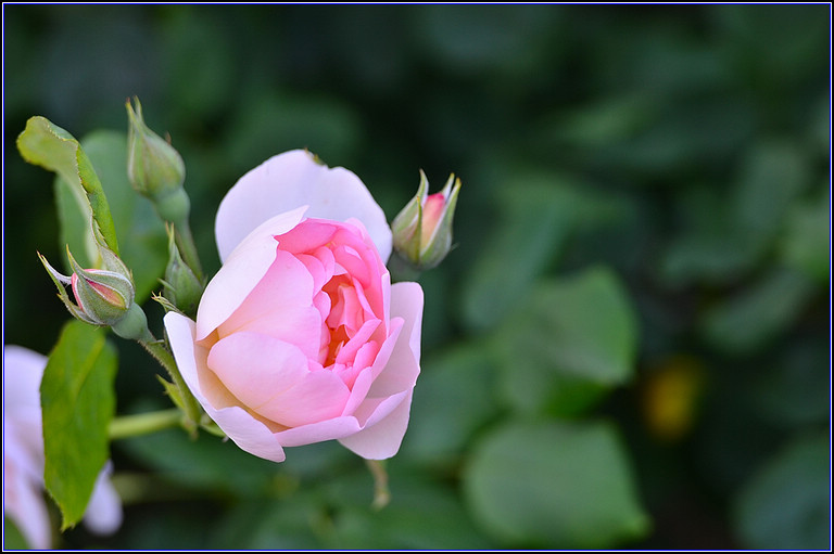 DSC_5017.jpg