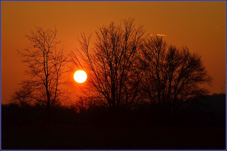 DSC_3985.jpg