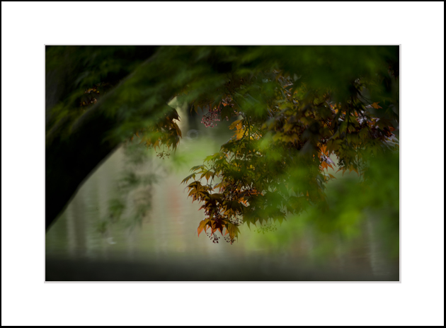 _DSC8056.JPG