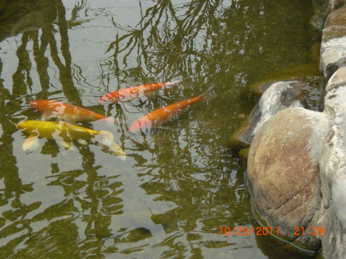 2011_11120795.JPG