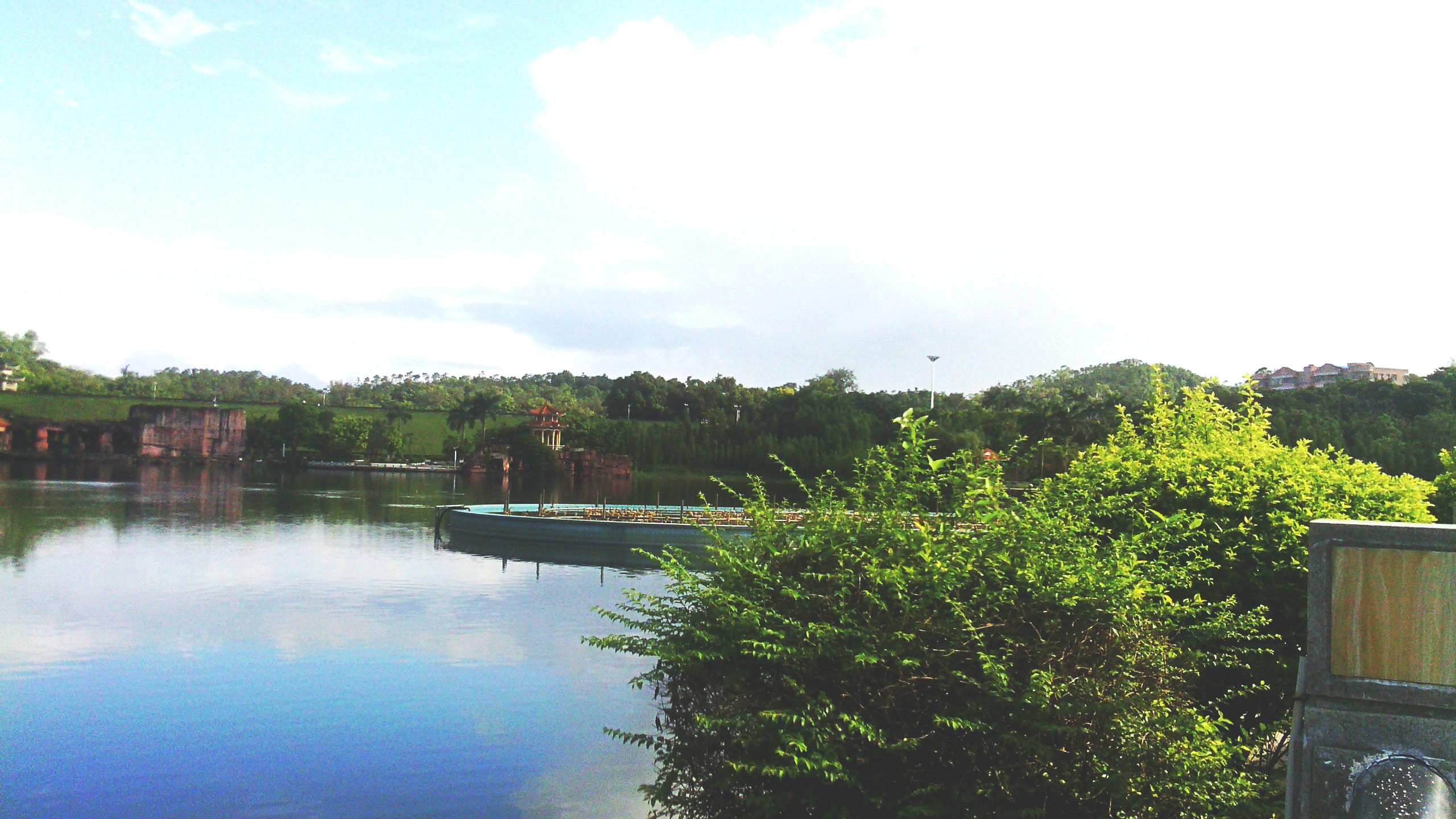 IMG_20130617_083424_conew1.jpg