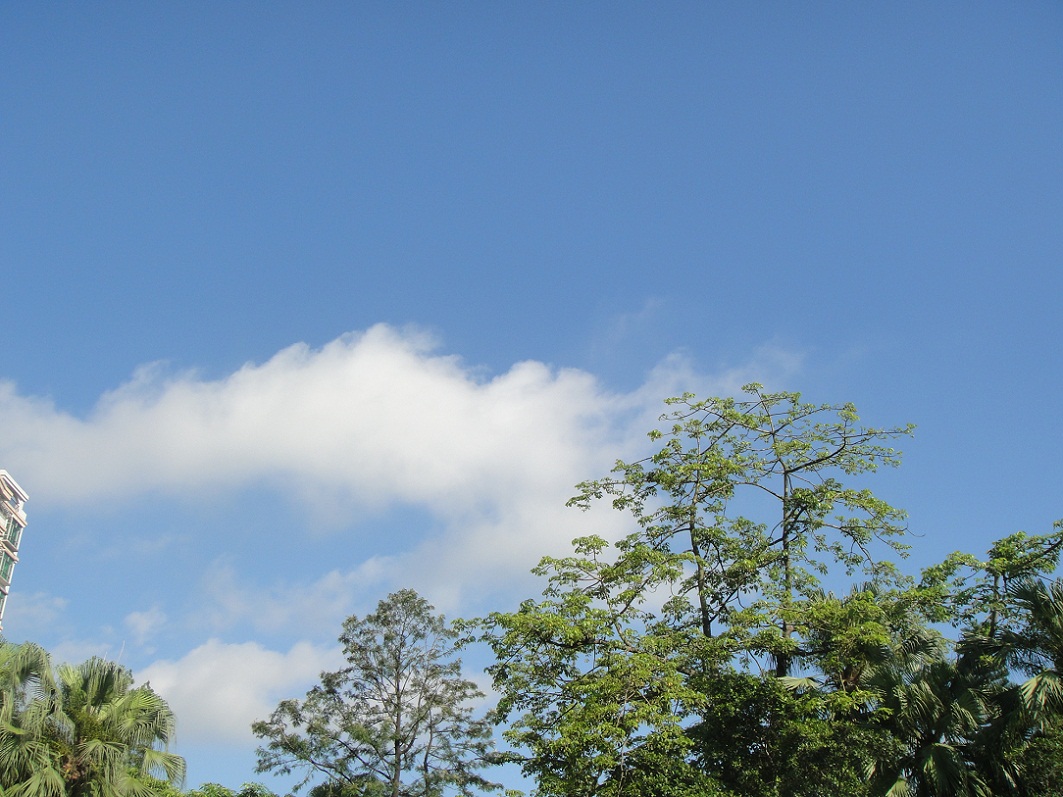 DSC08146.JPG