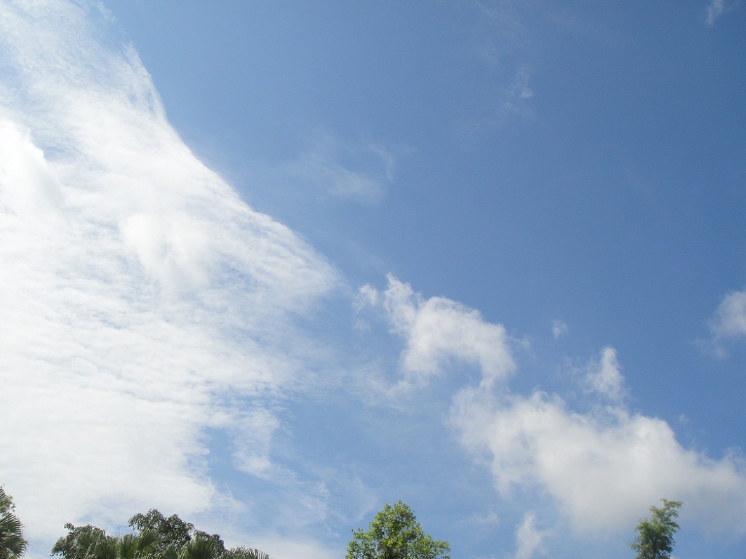DSC07784.JPG