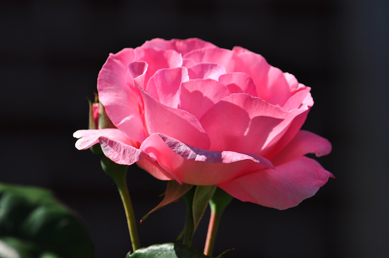 DSC_0770_����.jpg