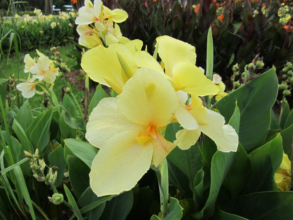 IMG_2315.JPG