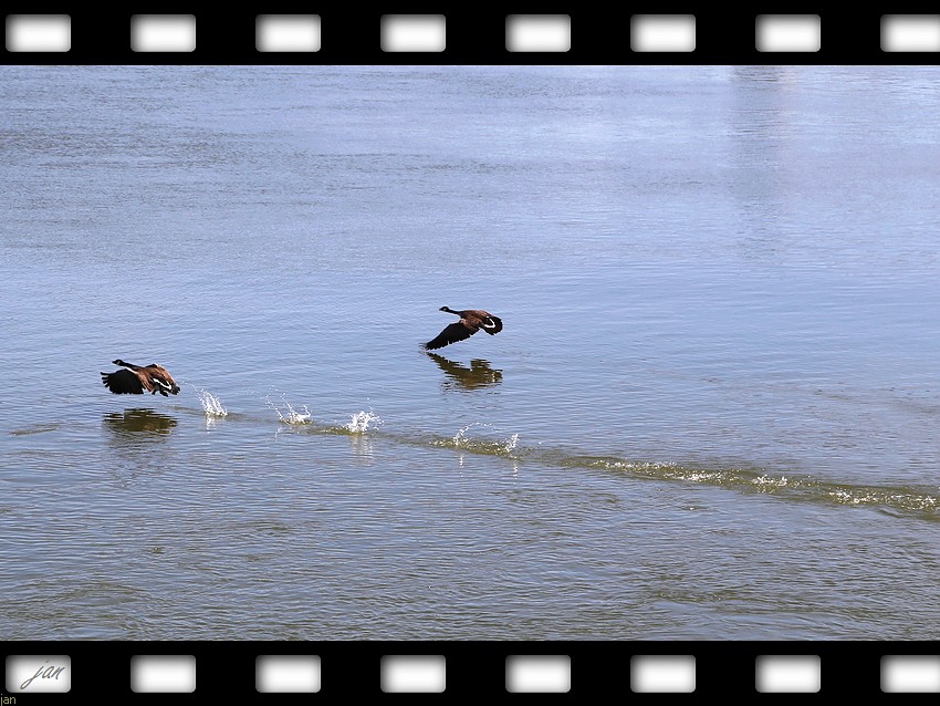 IMG_1774=.jpg