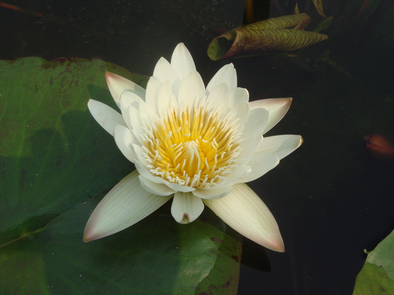 DSC01338_.jpg