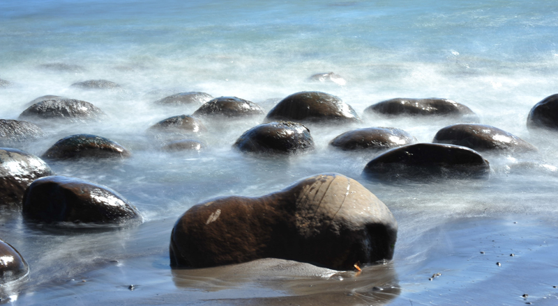 NSH_4155A.jpg