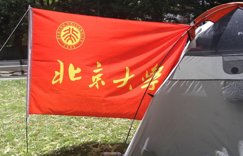 D 304 (800x515).jpg