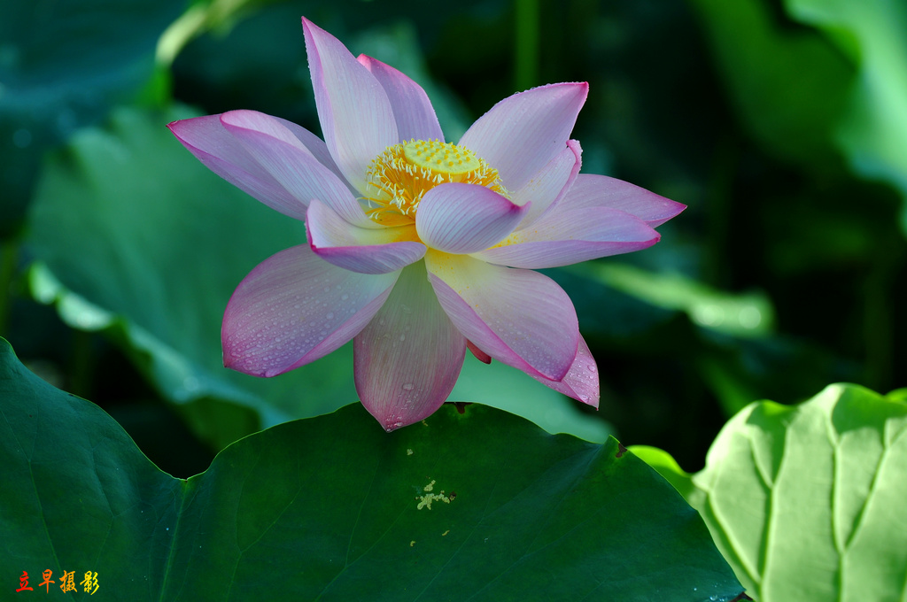 DSC_9427.JPG