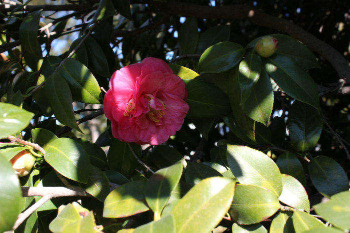 2012_01070123.JPG