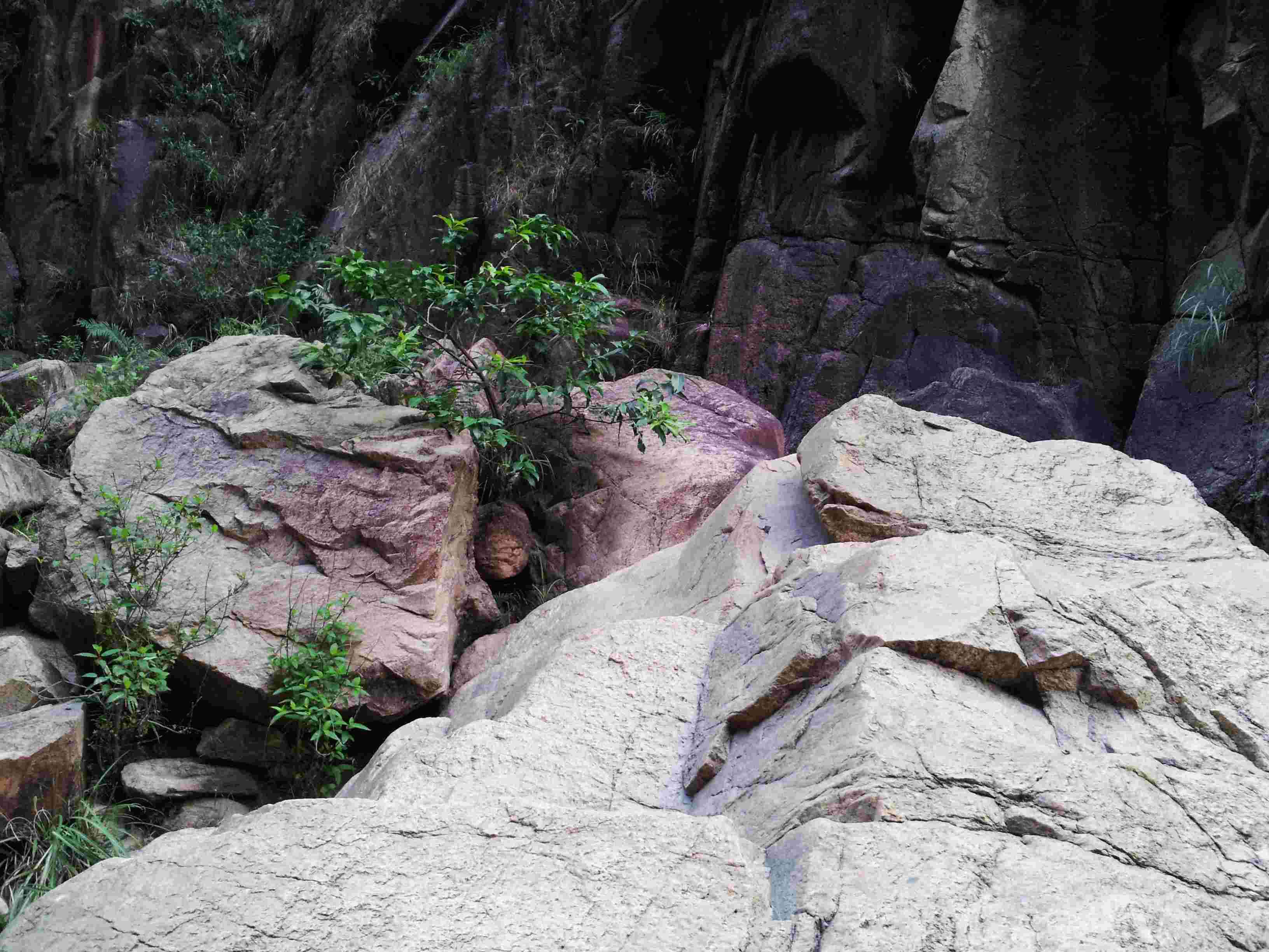 20121006_170323.jpg
