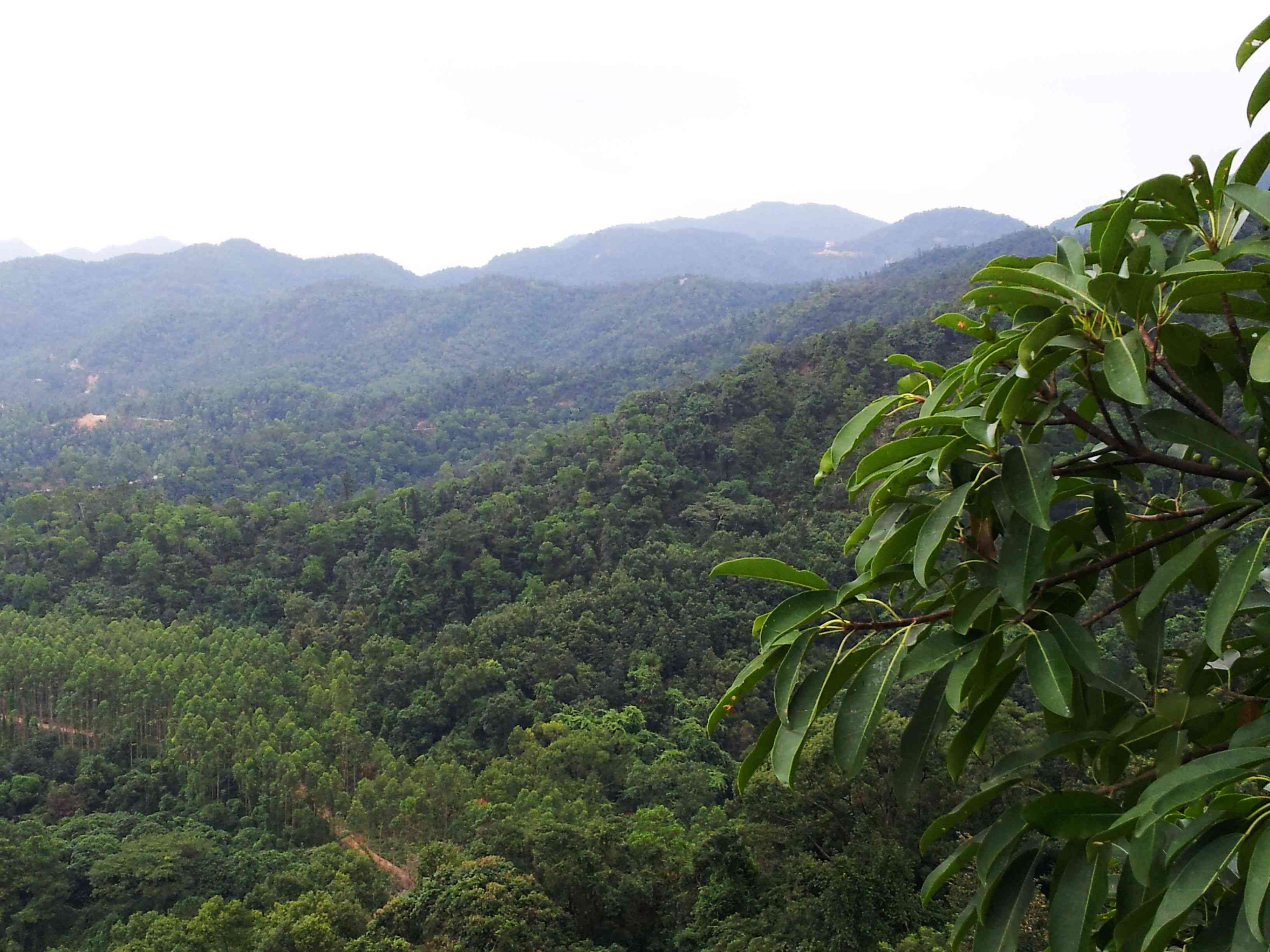 20121028_145334.jpg