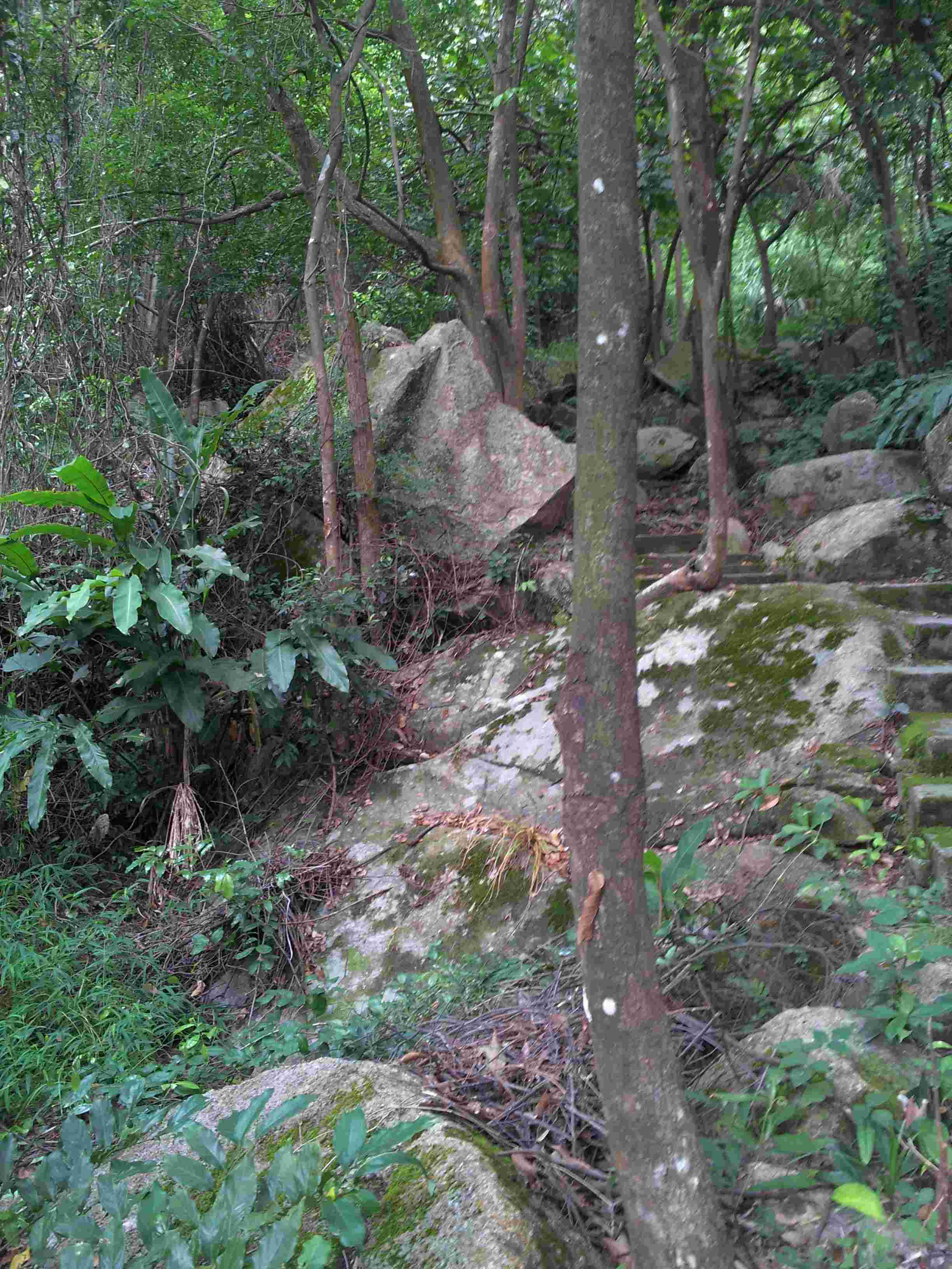 20121028_143943.jpg
