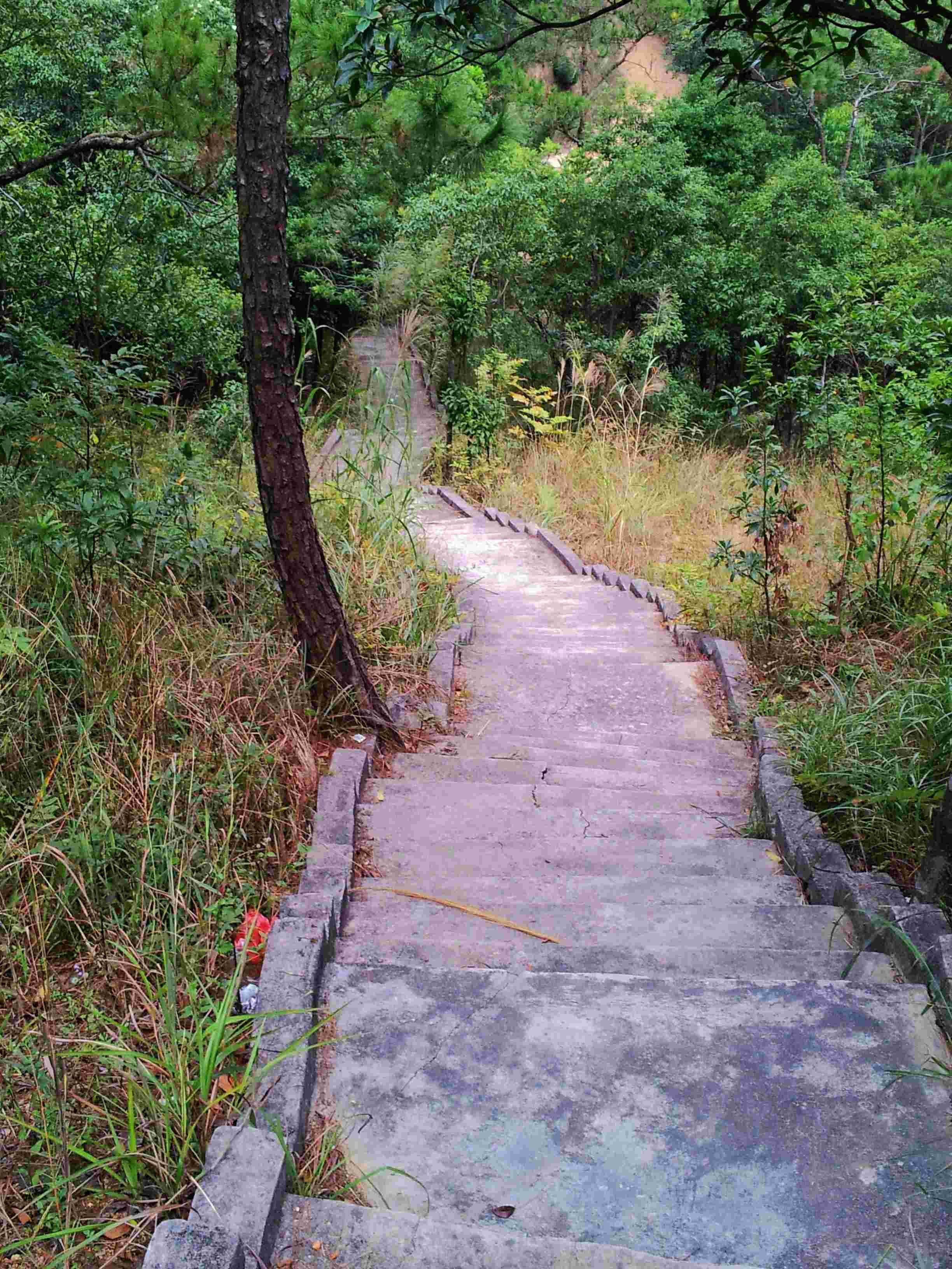 20121028_162325.jpg