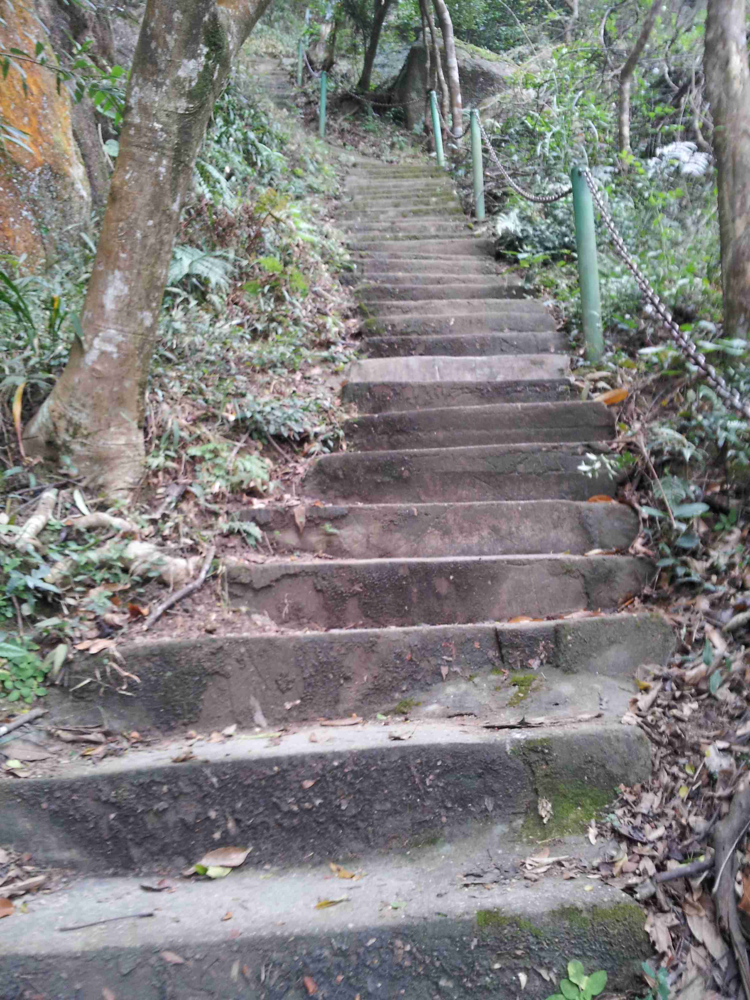 20121028_151635.jpg